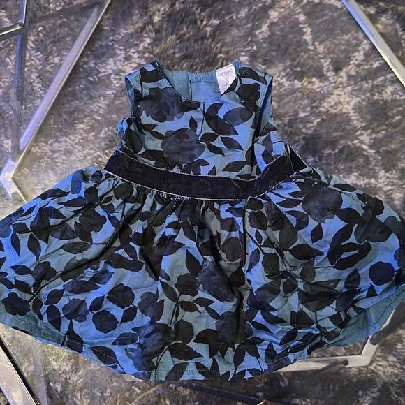 Carter's | Dresses | Carters Blue Velvet Floral Dress Size 3 Months Worn  Once | Poshmark